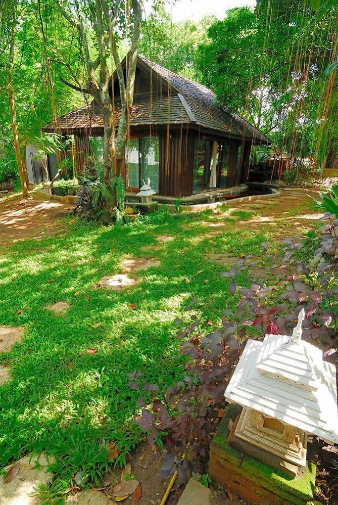 Viva Chiang Mai Nature Home Stay Dış mekan fotoğraf